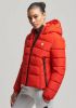 Superdry Gewatteerde jas Spirits Puffer van waterafstotend materiaal online kopen